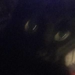 Meet your Posher, Kelley